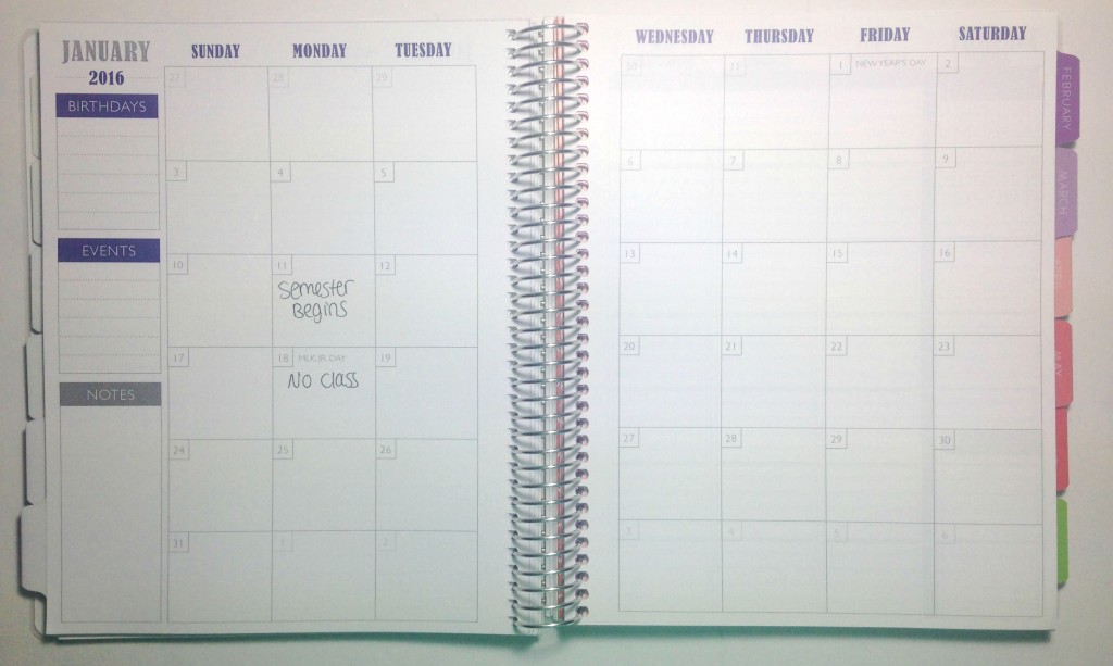 Plum Paper Planner [How I Use Three Planners - Kayla Blogs]