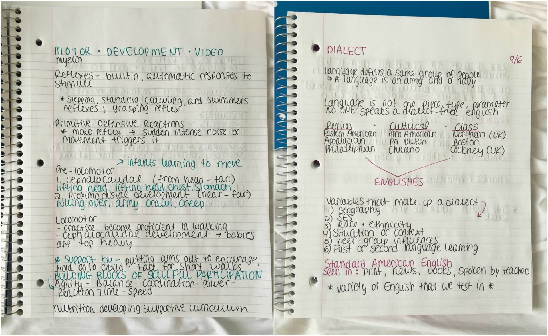 How to Take Notes in a College Class | Kayla Blogs