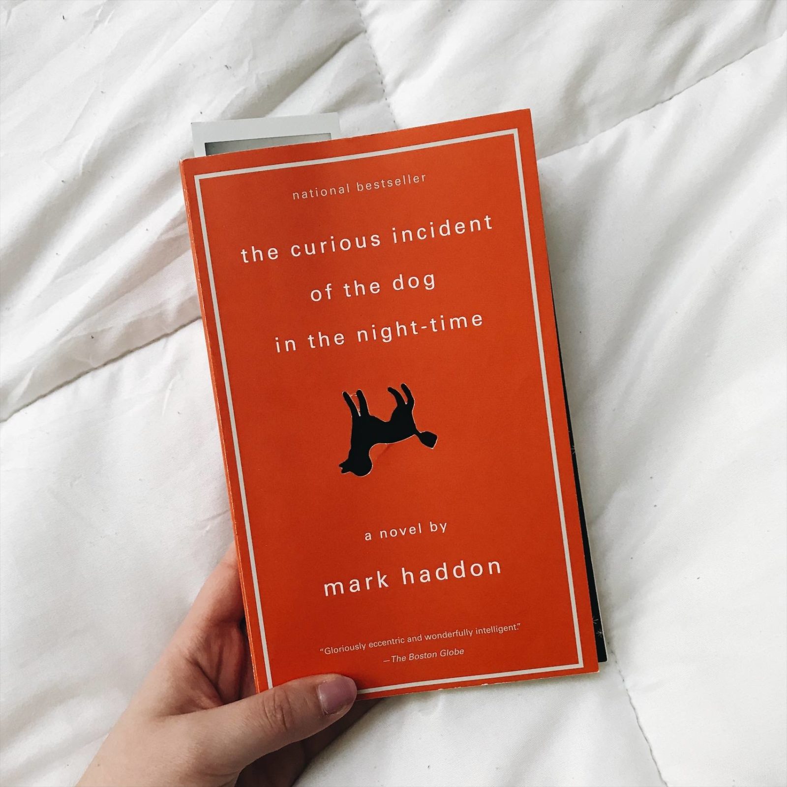 the curious incident of the dog in the night time