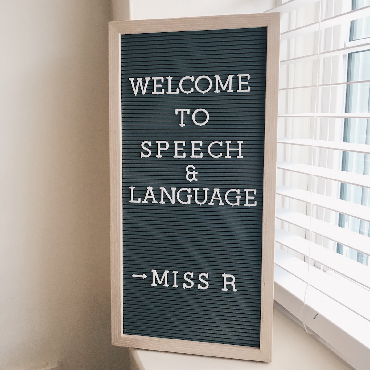 speech therapy letter board